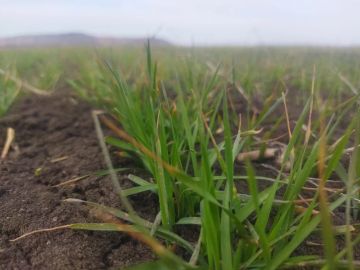 ��������, ��� �����������. ��� ����� ��������� ����� ��������