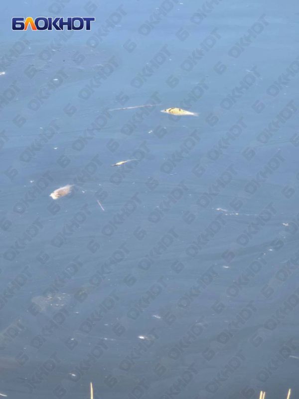 �������� ��� ���� ��������� � ������ ������������� ������ �������