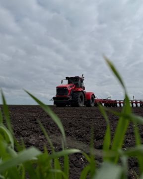 ����� ����������: � ��� ���������� �������� �������� ��������