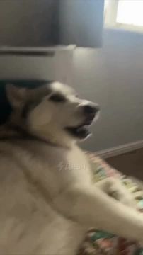 ���� ���������� ������ ������������, � ������ ���� �������: