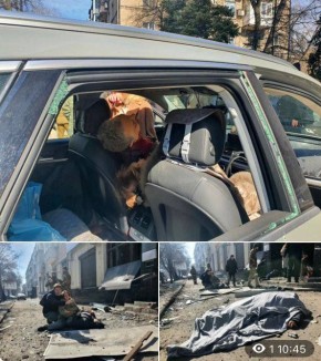 Юлия Витязева: 14 марта 2022 года. Донецк