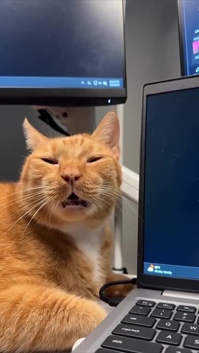 Когда синоптики обещают солнечную погоду, но хочется выспаться в воскресенье