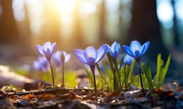 Гидрометцентр сообщает. 15 марта в Республике небольшая облачность, без осадков