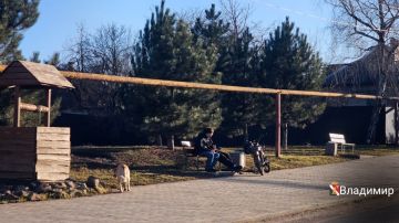 Игорь Мартынов: Счастливого выходного дня!