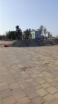 ������������ ���������� ������-�������� ����