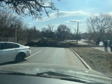 ����� ������ �� ����� ������������ � �������