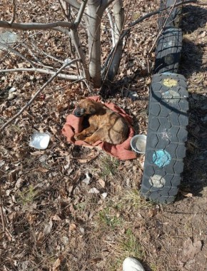 ���������� ����� ������ ����� ������ �������������