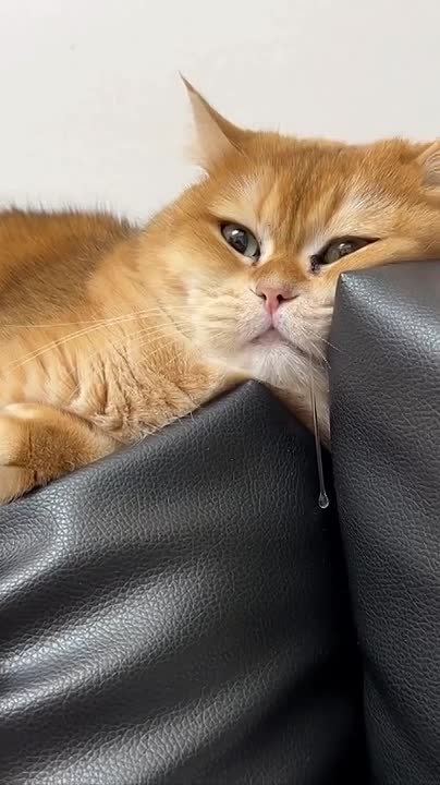 Понедельник. Кофе уже не помогает, а погода — добивает: