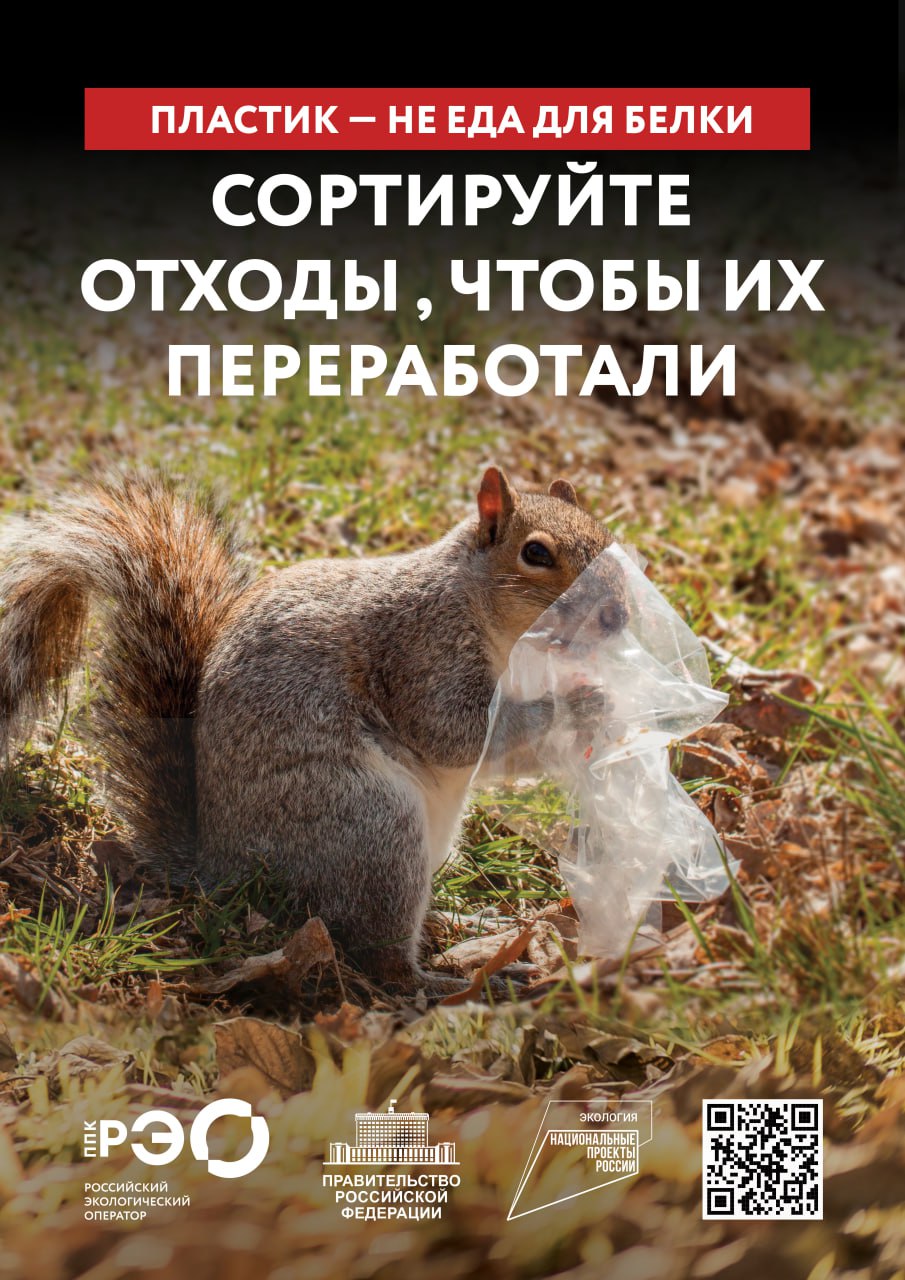 Сортируй отходы, чтобы их переработали Сортируй отходы, чтобы их переработали