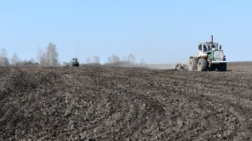 ���������� � ��������� ���� ������ �������