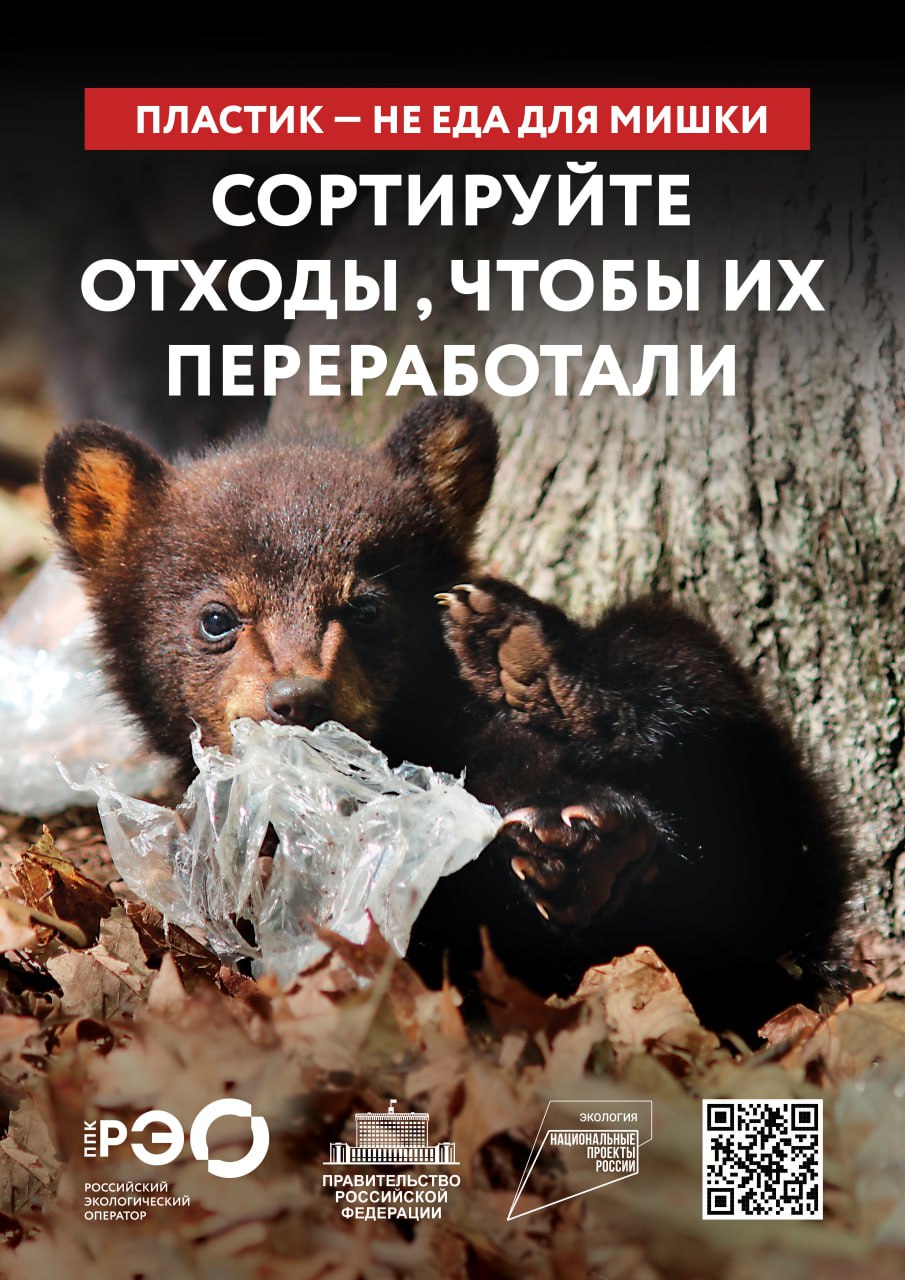 Сортируй отходы, чтобы их переработали Сортируй отходы, чтобы их переработали