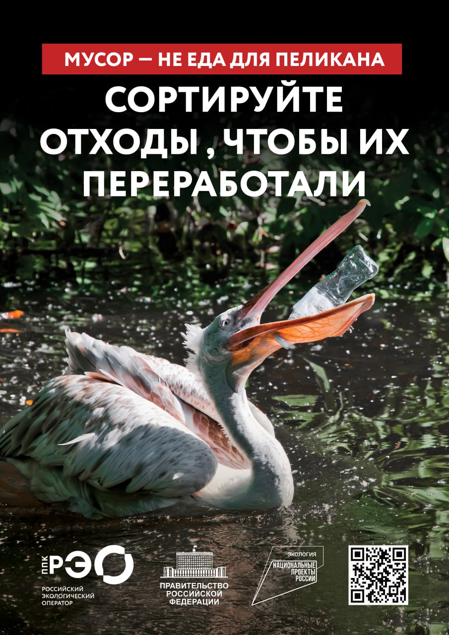 Сортируй отходы, чтобы их переработали Сортируй отходы, чтобы их переработали
