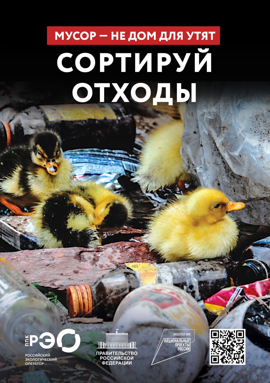 Сортируй отходы, чтобы их переработали Сортируй отходы, чтобы их переработали