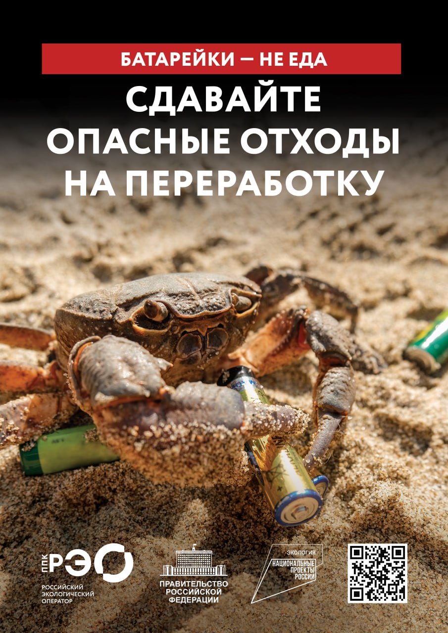 Сортируй отходы, чтобы их переработали Сортируй отходы, чтобы их переработали