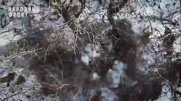 ����� ���������� ����� ������ ���� �� ����������� �����������