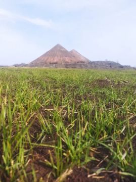 ��������, ��� �����������. ��� ����� ��������� ����� ��������