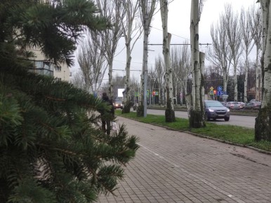 16 марта в республике переменная облачность, без осадков