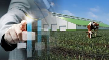 ������ ��� � �������� ���������: � ��� � ���������� ��������� ��������� ��� 10 ���������� �������������� ��������