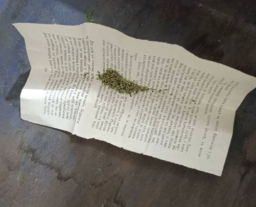 Полицейские выявили факт незаконного хранения наркотиков в Иловайске Полицейские выявили факт незаконного хранения наркотиков в Иловайске