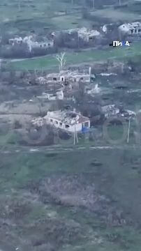 ����� ������� ������� ���������������� ������� ������ ����������� �� �������� �����������