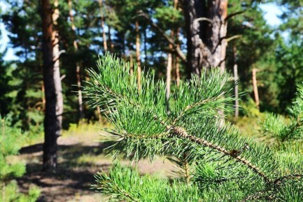 � ���������� ��� ������� �������� ������������� ����� ���������� � ������ ���������� � �������������� ������