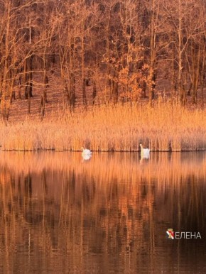 Игорь Мартынов: Доброе утро, Енакиево!. #НашОкруг #ЕнакиевоВобъективе #ТалантыЕнакиево