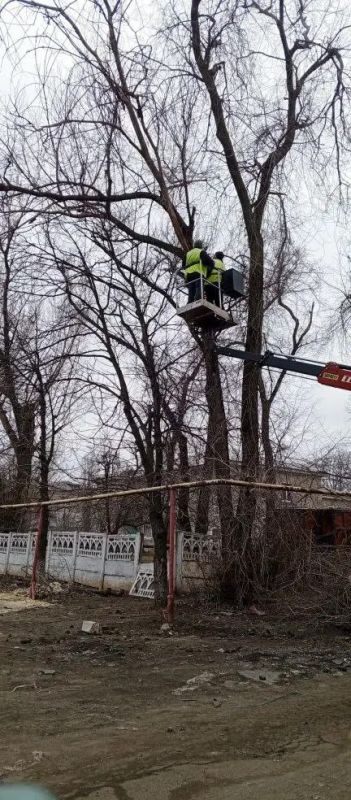 На 17.03.2026 г. работниками МУП "ЭКОС" выполнены следующие виды работ: Кронирование и обрезка деревьев согласно акта обследования по адресу бульвар Ленина 10. ... На 17.03.2026 г. работниками МУП "ЭКОС" выполнены следующие виды работ: Кронирование и обрезка деревьев согласно акта обследования по адресу бульвар Ленина 10. ...