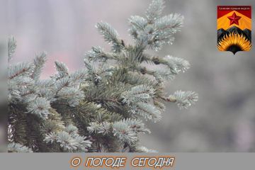 ��������� �����: ������������� ������� � ������ � ���������� ������