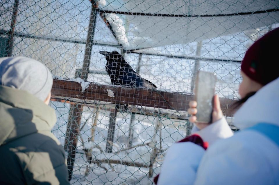 Семейная пара из Волновахи, выигравшая путевку в Новый Уренгой, впервые побывала на Севере Семейная пара из Волновахи, выигравшая путевку в Новый Уренгой, впервые побывала на Севере