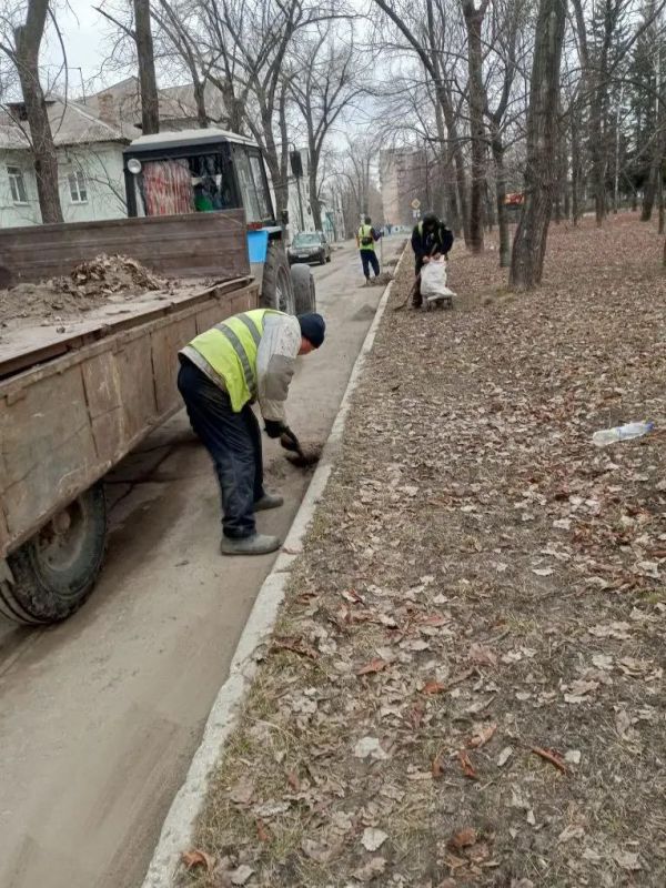 На 17.03.2026 г. работниками МУП "ЭКОС" выполнены следующие виды работ: Кронирование и обрезка деревьев согласно акта обследования по адресу бульвар Ленина 10. ... На 17.03.2026 г. работниками МУП "ЭКОС" выполнены следующие виды работ: Кронирование и обрезка деревьев согласно акта обследования по адресу бульвар Ленина 10. ...