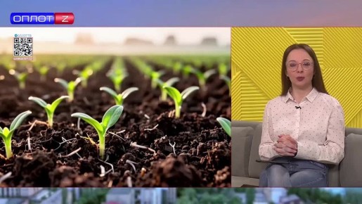 В ДНР на неделю раньше стартовала весенняя посевная