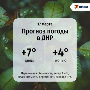 ДНР сегодня окутал зябкий туман и пасмурное небо