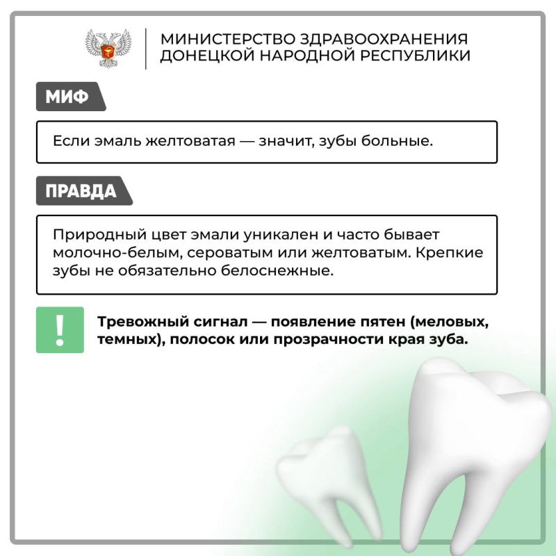 Мифы и правда о здоровье зубов Мифы и правда о здоровье зубов