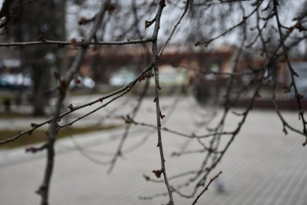 ������������� ��������. 18 ����� � ���������� ������� � ������������, ����� ��������� �����; ���� ���������, ������� ��������� �����