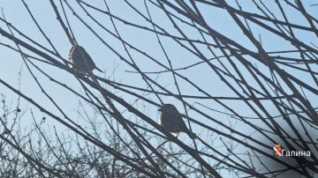 ����� ��������: � ����� ����!. #�������� #������������������ #���������������