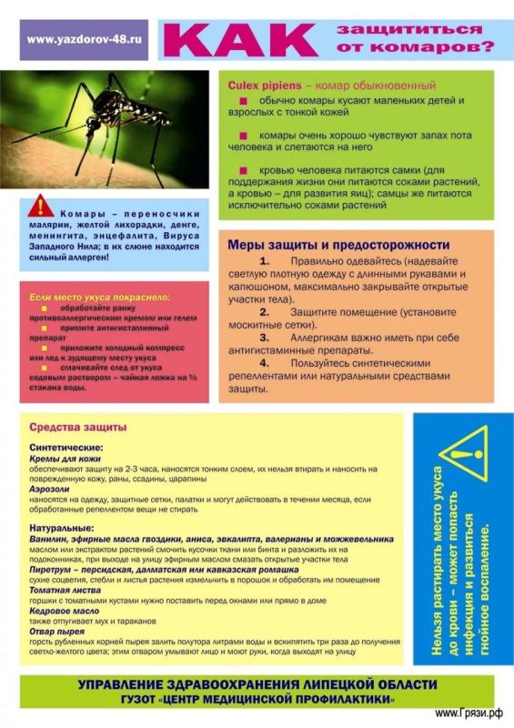О профилактике укусов комаров О профилактике укусов комаров
