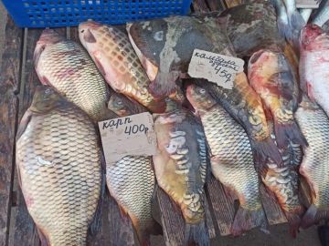 � ����������� �� ����������� ������� ������ �������