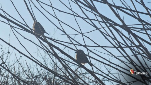 ����� ��������: � ����� ����!. #�������� #������������������ #���������������