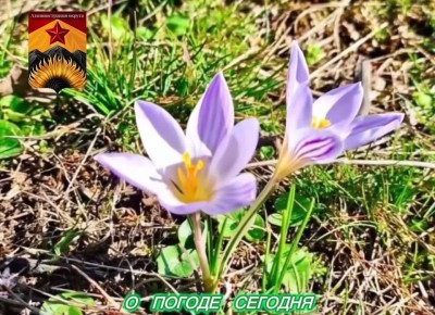 ������������� ������� � ������ � ���������� ������