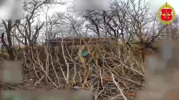 ���������� ������: ���������� �� ������: ��������� ������������� �������� ����������� ������ ���������� ��� ����� � ������ ������� ���������� ���