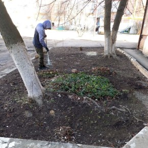 � ��������� ������������ ������� �� ������