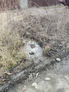 ����� �����: �� ����� ������� ��������� ������ �� �������� ����������� ��������� ������������� ��������� 200 ��