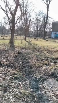 ��� ������� ����� ������������ ���� �� ����� �������� � ���������� � ��������