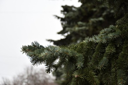 ������ ��������: ������������� ��������. 19 ����� � ���������� ������� � ������������, ����� ������� ��������� �����, ���� ��� ������������ �������