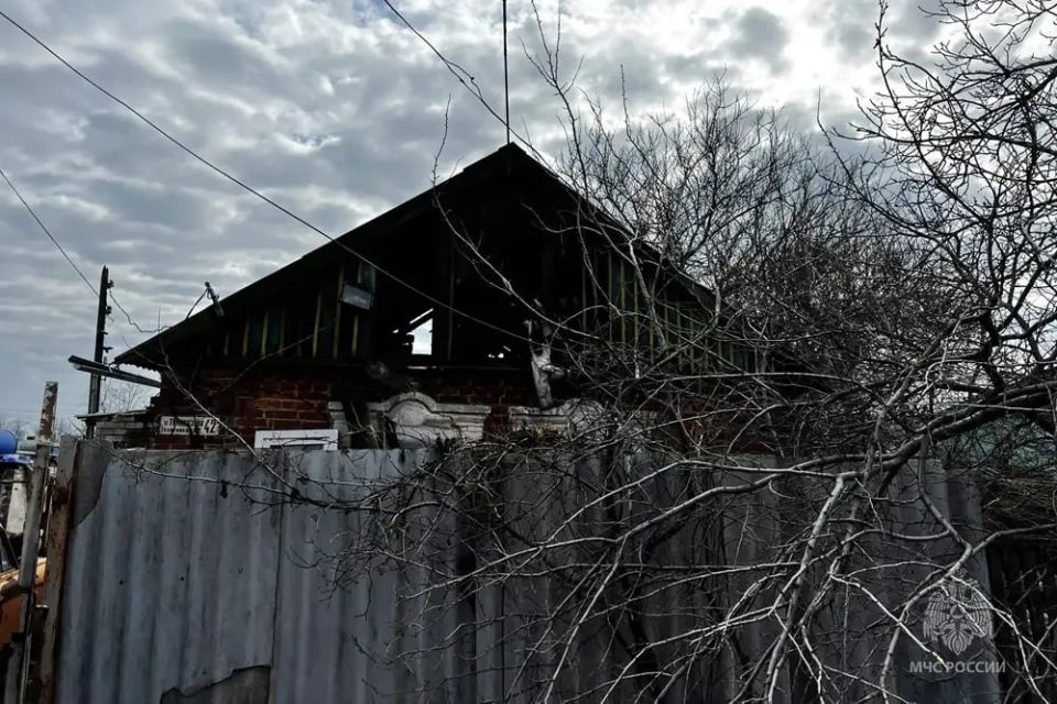 Мариупольские деревья-исполины внесут в Национальный реестр Мариупольские деревья-исполины внесут в Национальный реестр