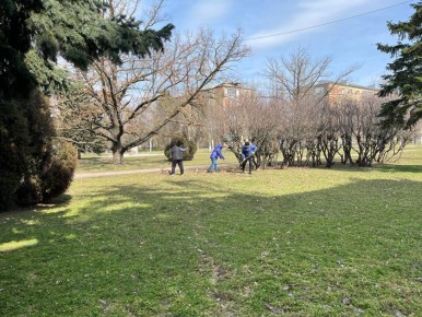 Василий Овчаров: Коллектив Администрации Новоазовского муниципального округа в рамках проведения двухмесячника по благоустройству поддержал акцию «Зеленый Донбасс», совсем недавно анонсированную Главой нашей Республики...