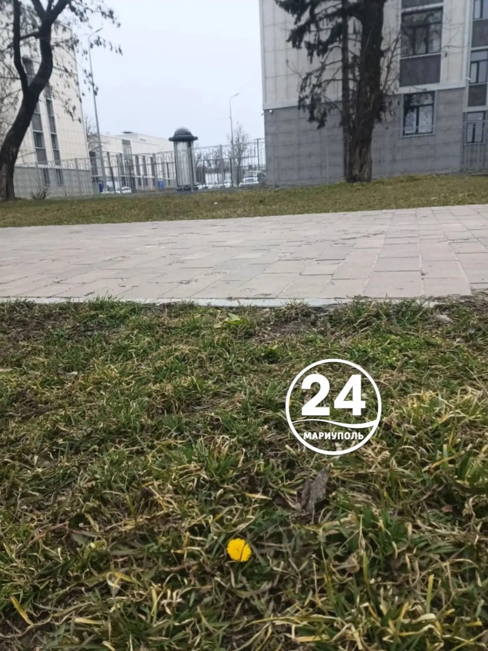 Весна окончательно вступила в свои права!