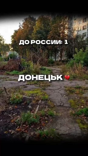 ������ ������������. ������ ����! �����������