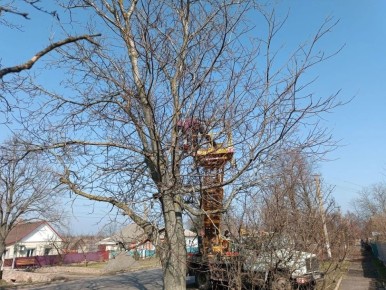 ������� ����������: �� ��������� ����� ��� ������ �������� ���������� � ������������� ������ ������ �� ������������ ��������