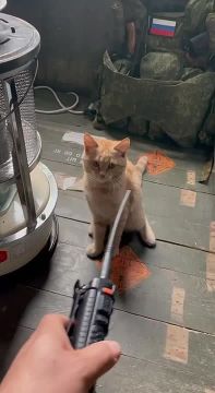 Мирного дня, Донецк!. Связист Прогноз погоды на 22.03.2026 Донецкая Народная Республика: